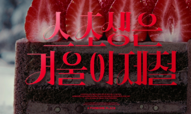 2024 스초생캠페인 본편